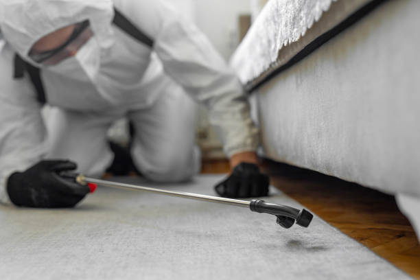 Professional Cockroach Control technician working in Bellevue, WI